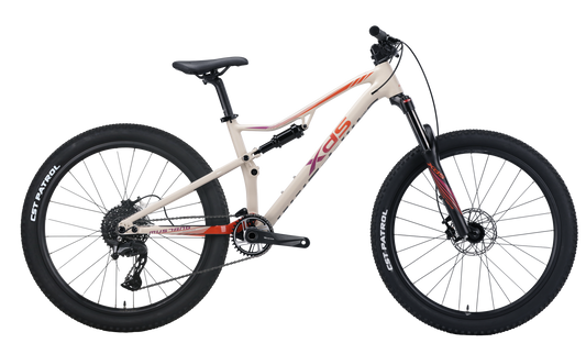 XDS 2025-野馬PRO 油壓碟刹內走線前後避震10速山地車 / XDS 2025-MUSTANG PRO 10-Speed Mountain Bike