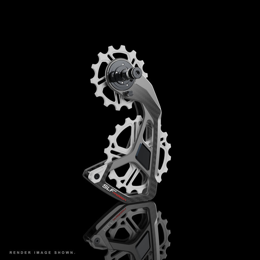SLF Motion Speed System 大導輪-Custom-Shimano