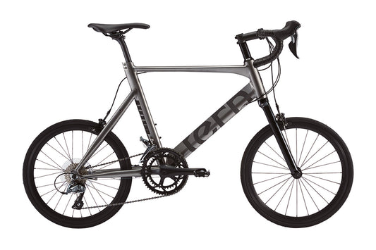Tern Roji Bike Surge 451小輪徑