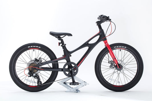 Royal Baby CARBON FIBER SPACE SHUTTLE 3速碳纖小童車 -20"