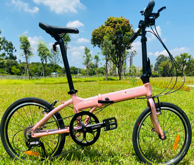 RIFLE RV10 20-inch 9-speed aluminum alloy V folding bike-20" / RIFLE RV10 9 SPEED ALLOY V BRAKE FOLDING BIKE-20"