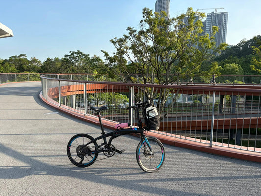 單車環遊之【深圳水庫 】雪白網狀橋上橋打卡超美