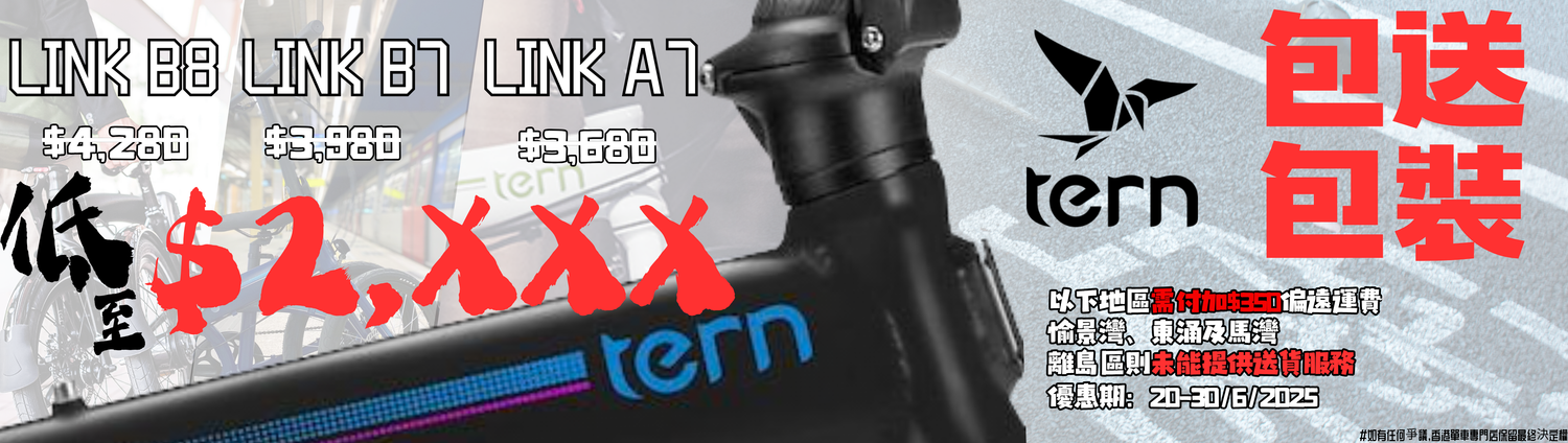 TERN 20吋摺車 Link系列