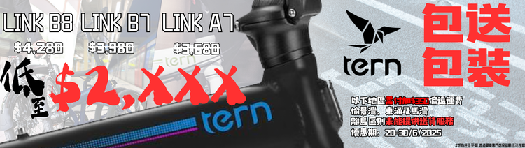 TERN 20吋摺車 Link系列