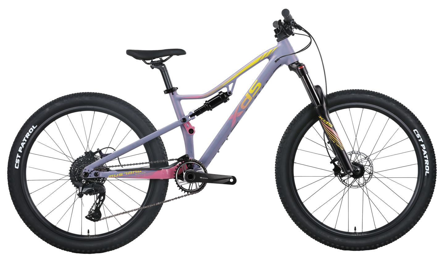 XDS 2025-野馬PRO 油壓碟刹內走線前後避震10速山地車 / XDS 2025-MUSTANG PRO 10-Speed Mountain Bike