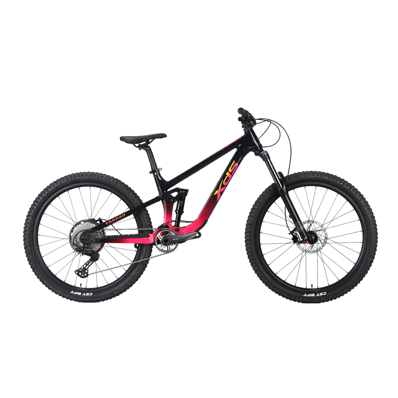 XDS 2025-烈馬PRO 油壓碟刹內走線前後避震12速山地車 / XDS 2025-TARPAN PRO 12-Speed Mountain Bike