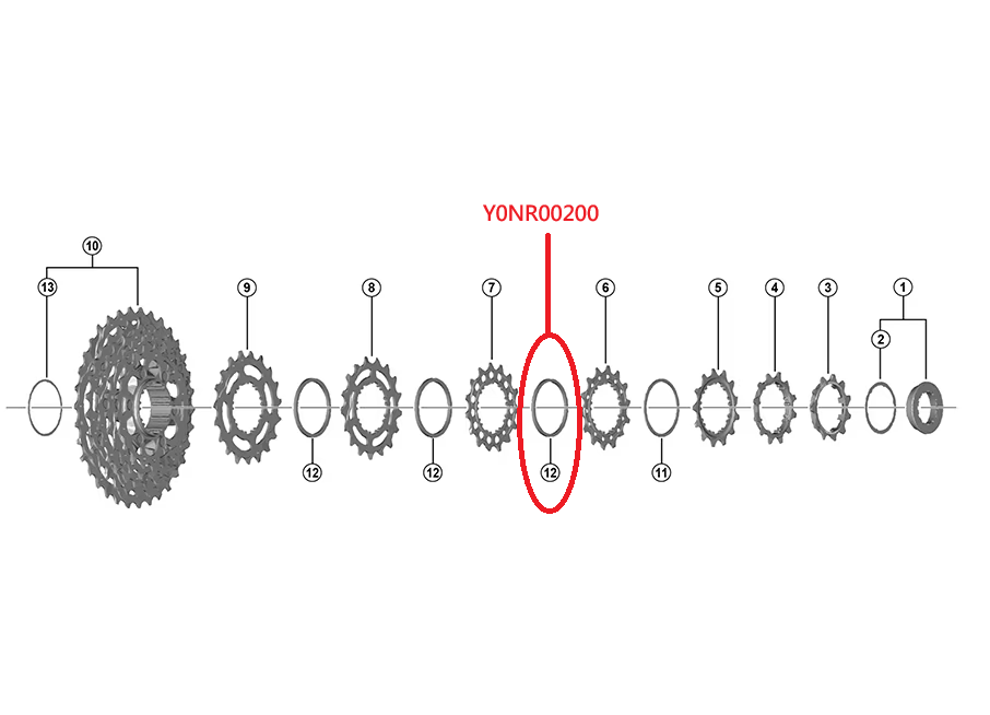 Shimano CS-R8100 飛輪介子 B