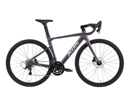XDS 2026-AD300 Hydraulic Disc Brake Internal Cable 20-Speed Road Bike