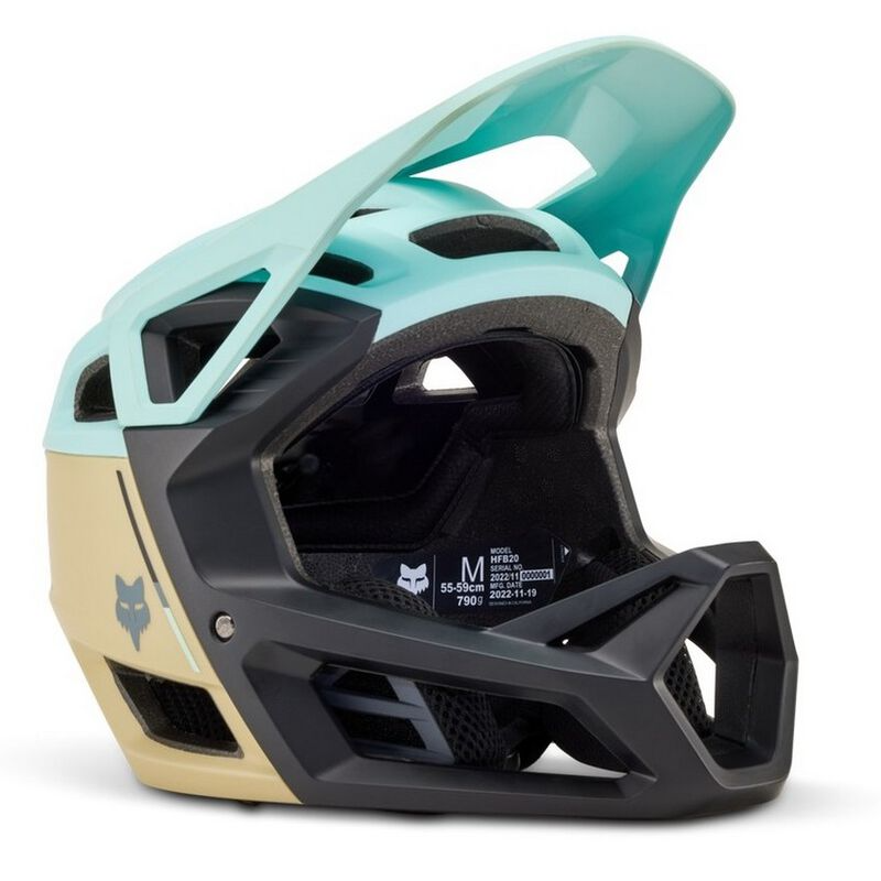 FOX PROFRAME 頭盔/ FOX PROFRAME HELMET