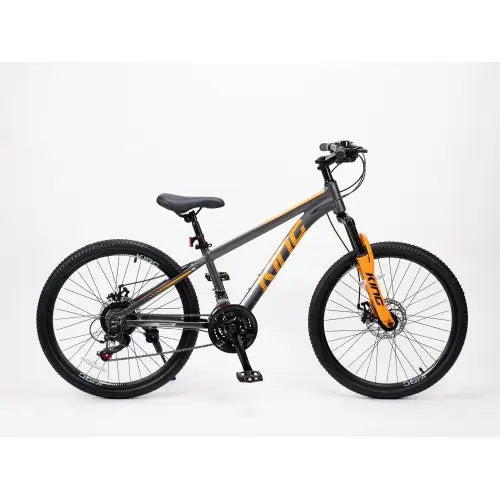 ROYAL BABY RB24-29 KING Aluminum alloy 21-speed front suspension mountain climbing bike - 24"