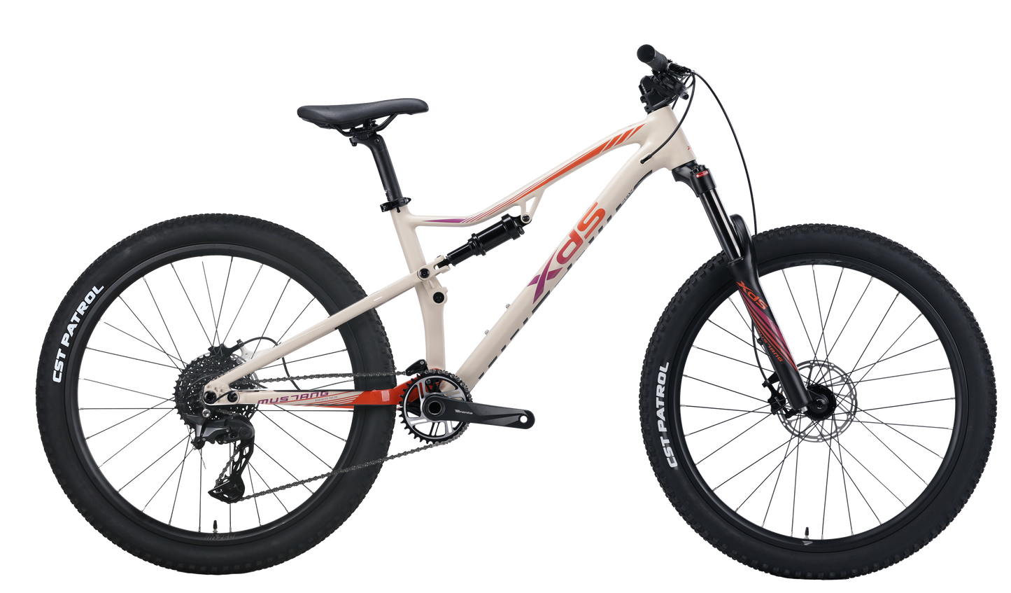 XDS 2025-野馬PRO 油壓碟刹內走線前後避震10速山地車 / XDS 2025-MUSTANG PRO 10-Speed Mountain Bike