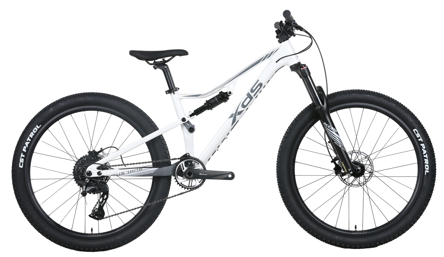 XDS 2025-野馬PRO 油壓碟刹內走線前後避震10速山地車 / XDS 2025-MUSTANG PRO 10-Speed Mountain Bike