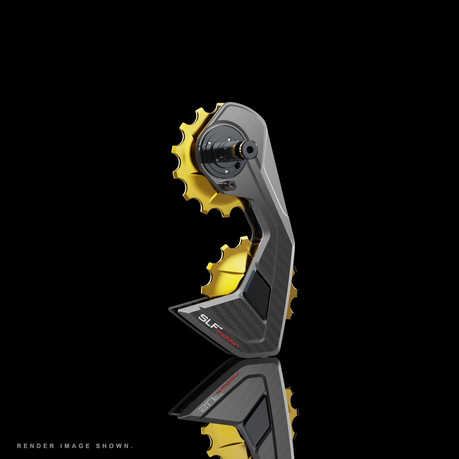 SLF Motion Sprint System 大導輪