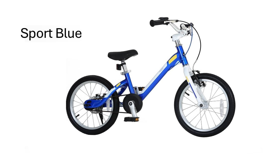 ROYAL BABY B-26 MARS 前V後碟剎鋁合金童車 /ROYAL BABY B-26 MARS ALLOY KIDS BIKE