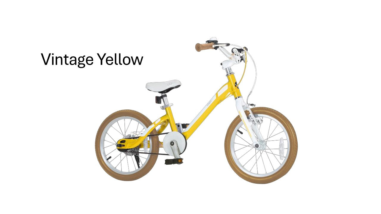 ROYAL BABY B-26 MARS 前V後碟剎鋁合金童車 /ROYAL BABY B-26 MARS ALLOY KIDS BIKE