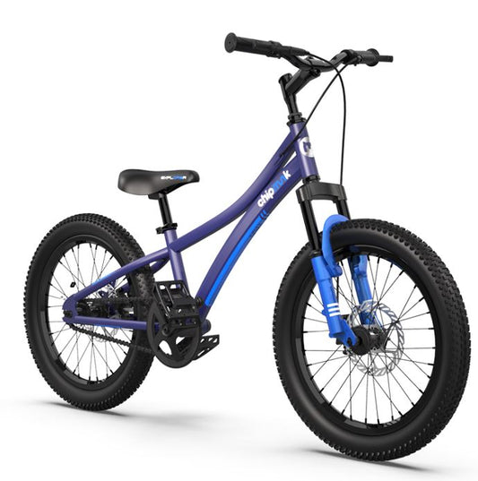 Chipmunk 小花鼠 CM20-3 鋁合金碟剎童車-20寸 / Chipmunk CM-3 Aluminum Steel Kids Bike - 20"