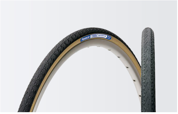 Panaracer Pasela ProTite 可摺外胎
