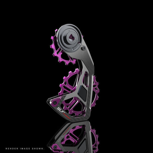 SLF Motion Speed System 大導輪-Sram