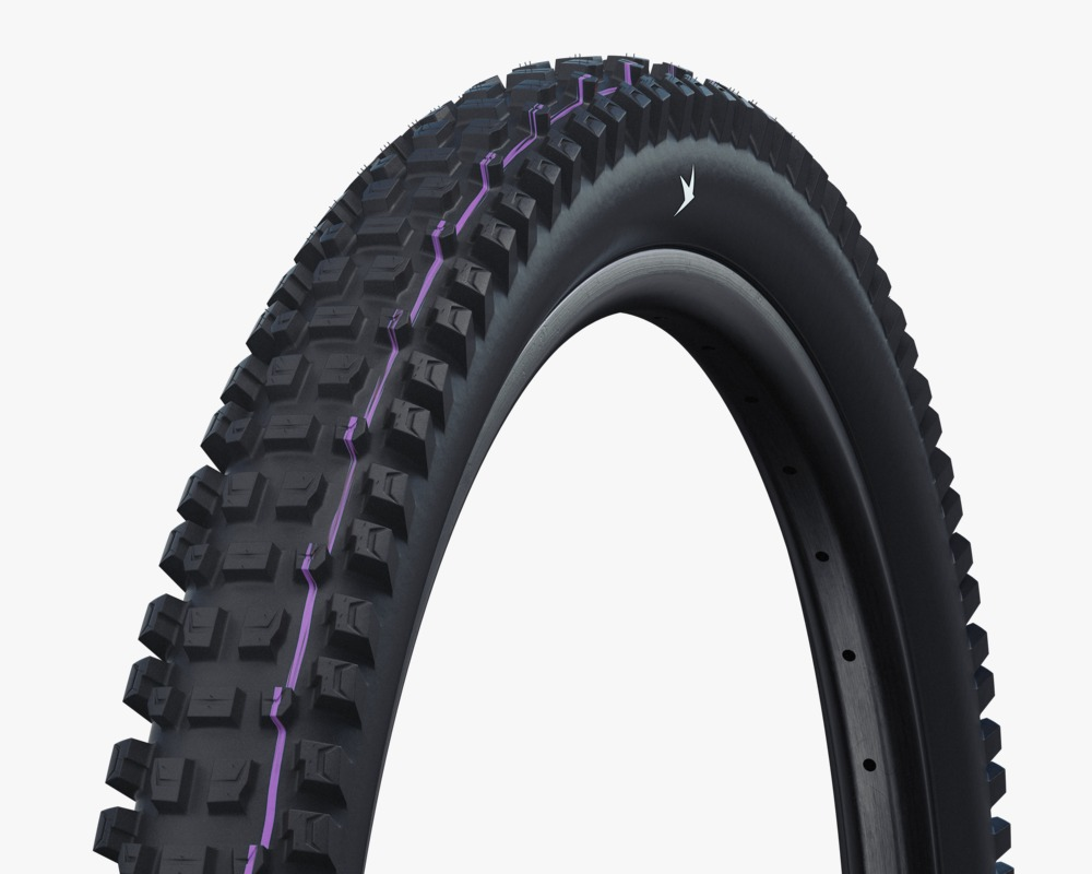 Albert Pro SCHWALBE Albert Pro Evo Radiai 真空可摺外呔 / SCHWALBE Albert Pro Evo Tubele ...