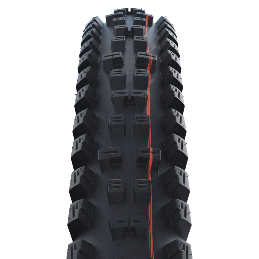 Schwalbe Tacky Chan Evo 真空可摺外胎