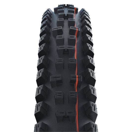 Schwalbe Tacky Chan Evo 真空可摺外胎