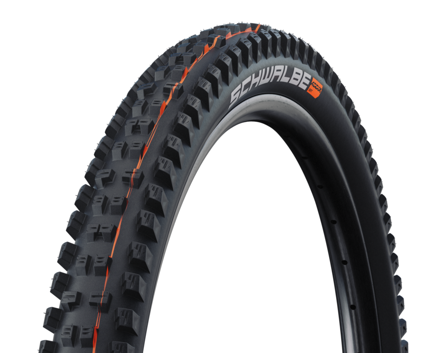 Schwalbe Tacky Chan Evo 真空可摺外胎
