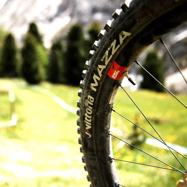 Vittoria Mazza Enduro 石墨烯2.0 爬山車真空胎