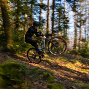Vittoria Mostro Enduro 山車可摺真空胎