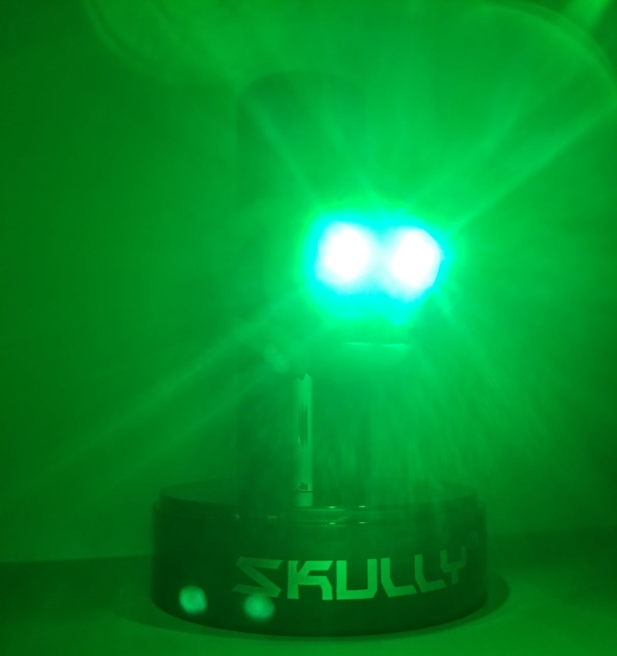 SKULLY CLIP-ON LED 燈 / SKULLY CLIP-ON LED LIGHT